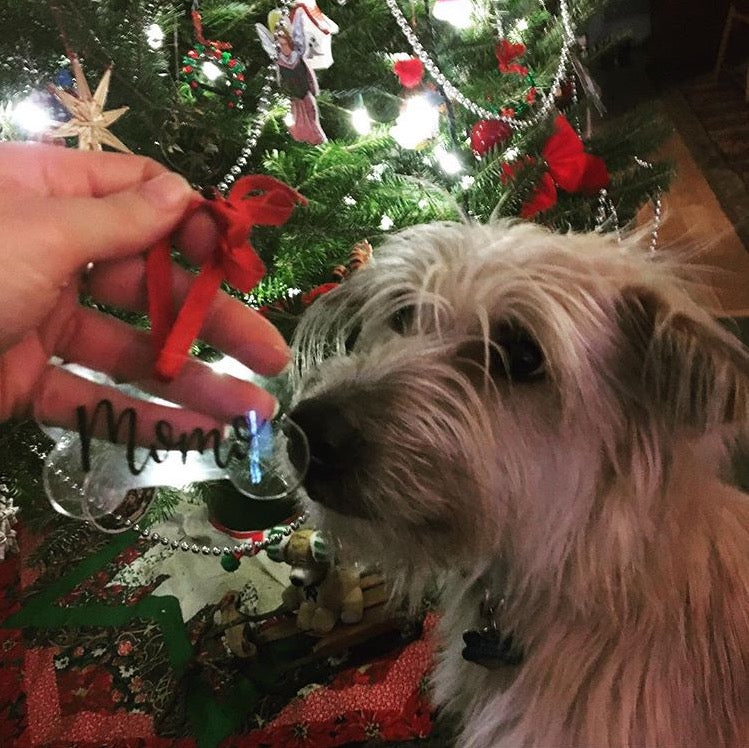 Custom acrylic dog bone ornament