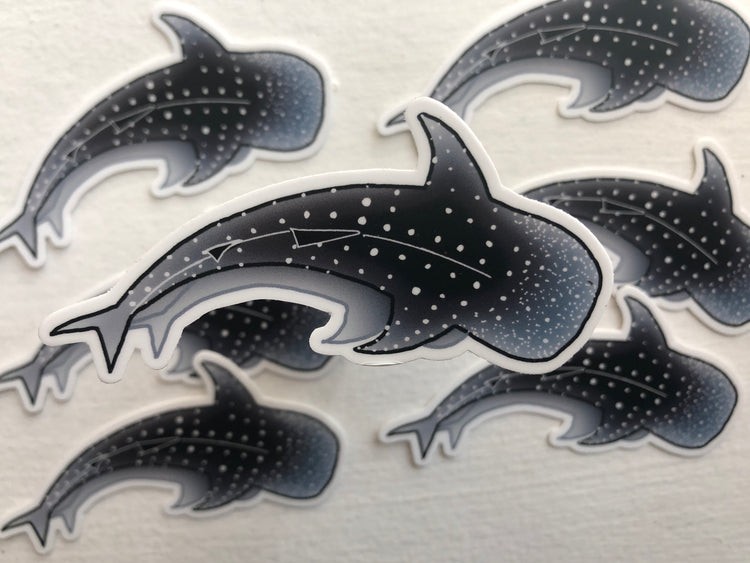 Whale shark sticker